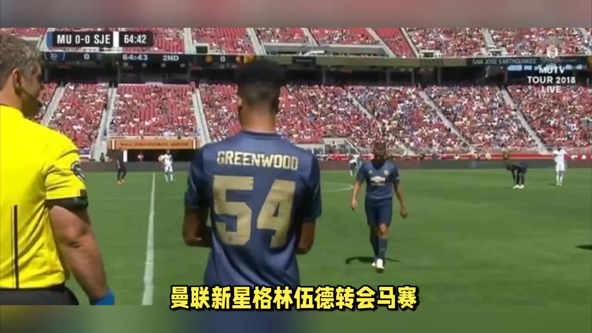 体的猜测