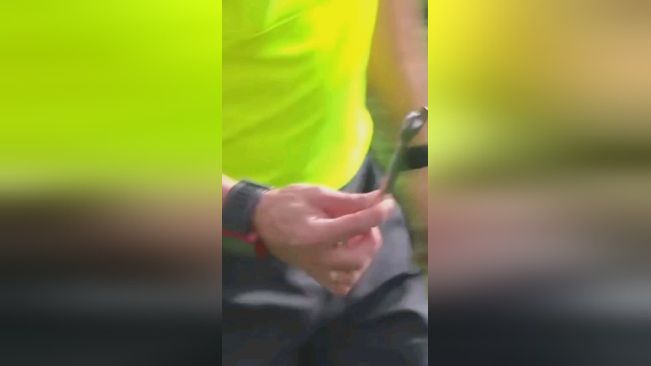 自己的历史